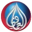Al Emadi Hospital logo