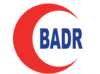 Badr Al Samaa logo