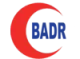 Badr Al Samaa logo